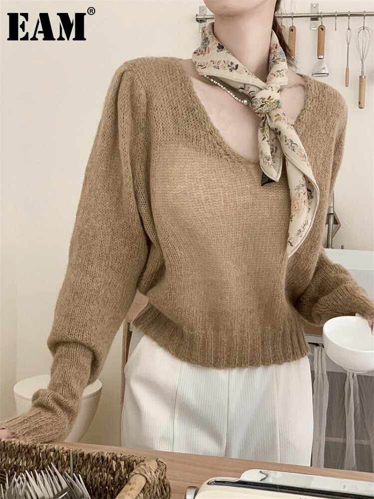 [EAM] Brown Thin Big Size Knitting Sweater V-Neck Long Sleeve Women Pullovers New Fashion Tide Spring Autumn 2023 1DF5869